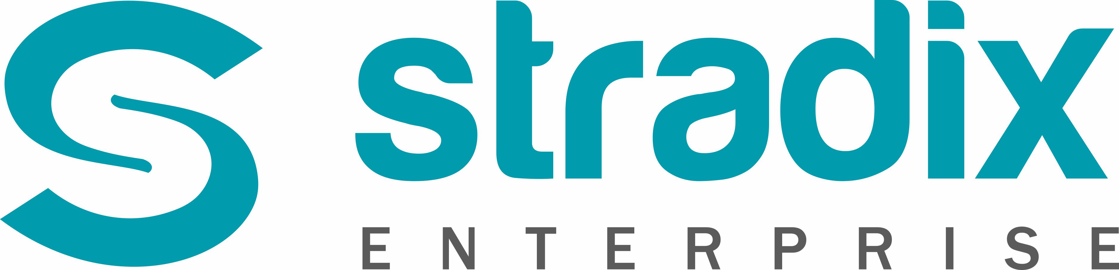 Stradix Logo